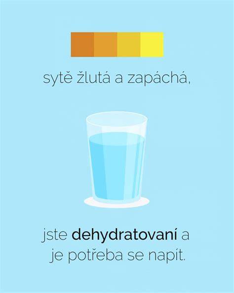 Infografika: Jak funguje správný tlak a proč je důležitý