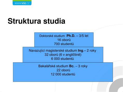 Infografika: Struktura studijních oborů a nástavbového studia