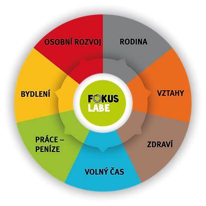 Obrázek ilustrující síť služeb Fokus Labe a jejich regionální záběr