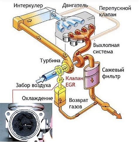 Infografika: Schéma EGR systému a chladiče