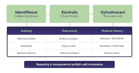 Infografika ukazuje postup: identifikace signálu blinkru, kontrola spínače, kontrola relé, kontrola kabeláže, a závěrečná diagnostika v servisním středisku.