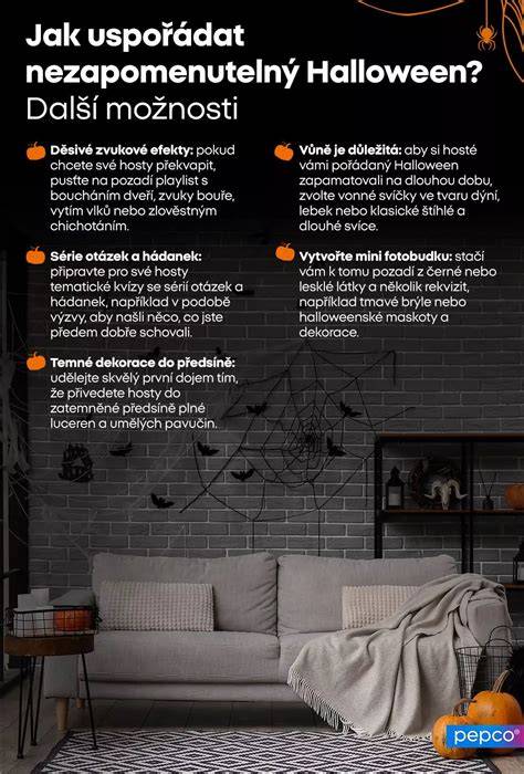 infografika-uspořádání-kocarek.jpg