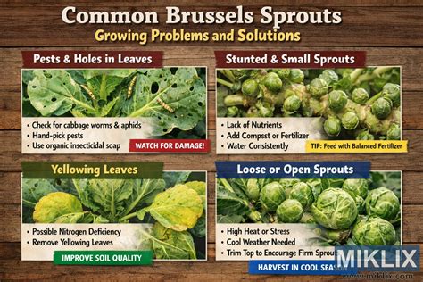 Infografika znázorňující běžné problémy pneumatických brzd a jejich řešení