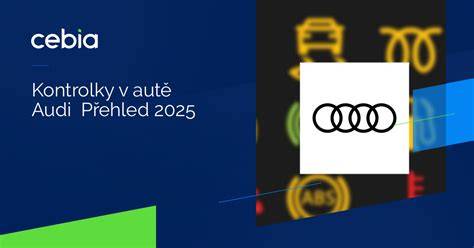 Infografika: Přehled nejčastějších kontrolních ikon Audi
