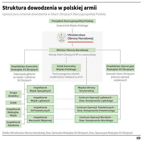 Infografika: Struktura služeb autoservisu Pavel Naňák a klíčové oblasti (mechanika, karosárna, diagnostika, pneuservis)