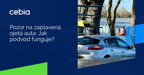 Infografika: Jak funguje program Cebia Verify a co znamená pro kupující