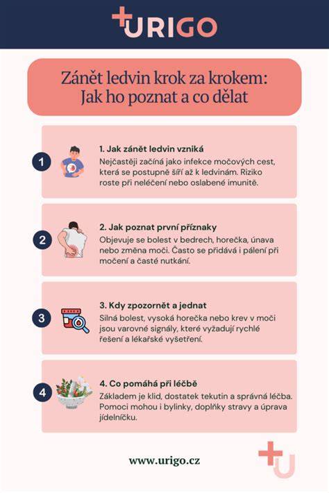 Infografika: Jak poznat opotřebené uhlíky ve startéru a krok-za-krokem výměna