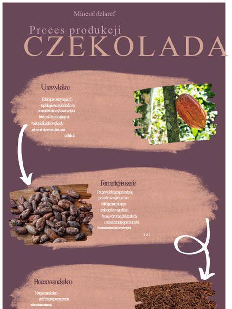 Infografika: Proces nákupu a servisu Opel v Kopřivnici