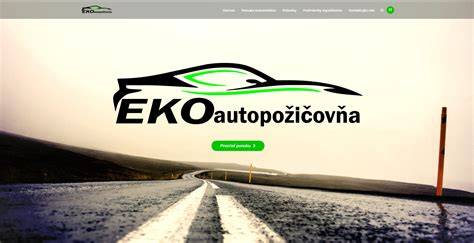 Infografika: Recap nabízených služeb autopůjčovny a vozového parku se Škoda Felicia a dalšími modely