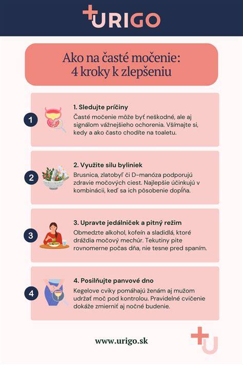 Infografika popisující kroky výměny čepů brzdičů a usazení manžet