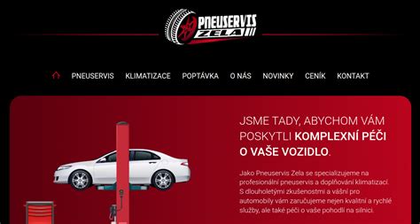 Infografika: Struktura služeb autoservisu (diagnostika, výměna dílů, klimatizace, pneuservis)