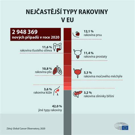 Infografika hlavní oblasti údržby a nejčastější problémy