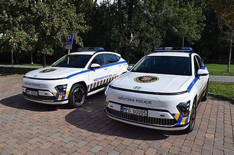 Infografika: Flotila Městské policie Olomouc - vozy a jejich rozdělení