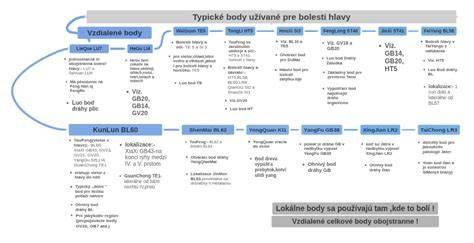 Infografika: Typické body úniku oleje a jejich diagnostika