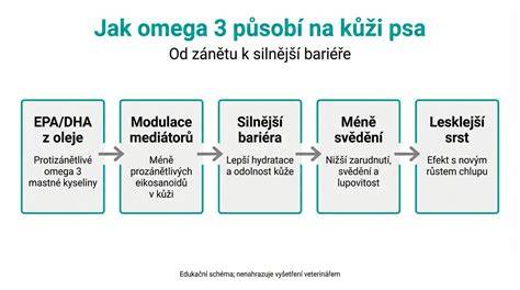 Grafický diagram vysvětlující cestu oleje v koncovém tlumení a polštáři