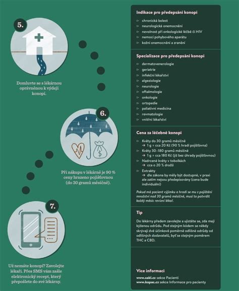 Infografika: Cesta tlumočení ruštiny - od studia po praktické uplatnění